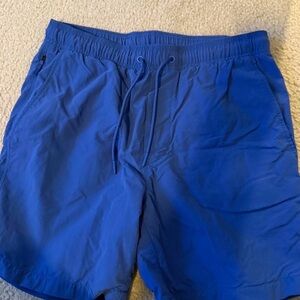 American eagle Men's Blue Swim Shorts